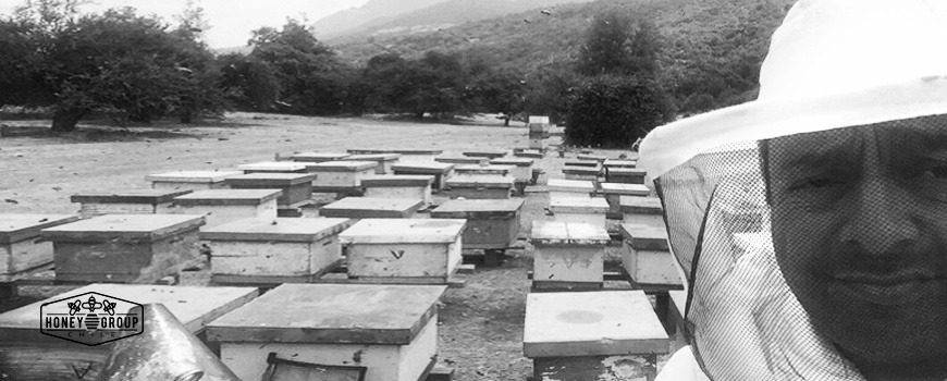 apicultores de chile desde hace mas de 40 años