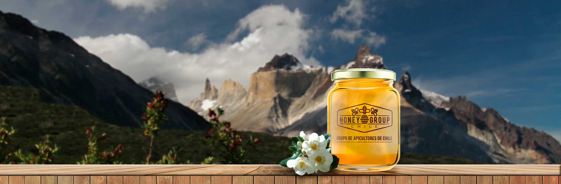 honey group chile grupo de apicultores chilenos