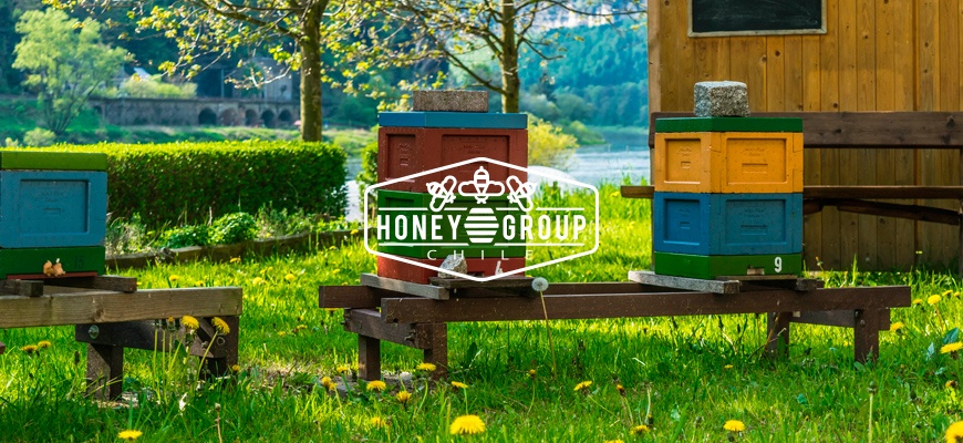 ser una empresa de apicultura innovadora