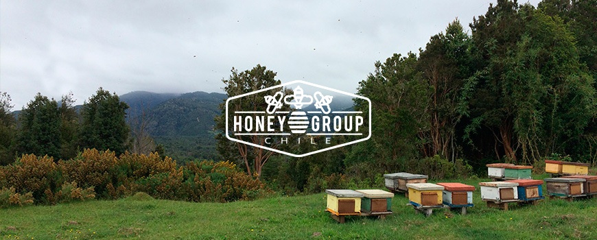 miel de honey group chile